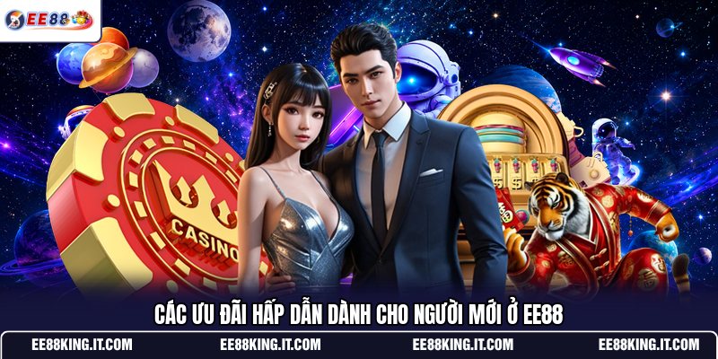 cac-uu-dai-hap-dan-danh-cho-nguoi-moi-o-ee88